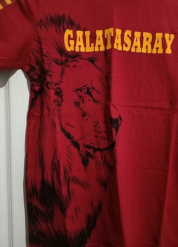 10 Yaş Beden kırmızı Renk Galatasaray çocuk tişört 