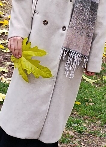Bayan kaban 