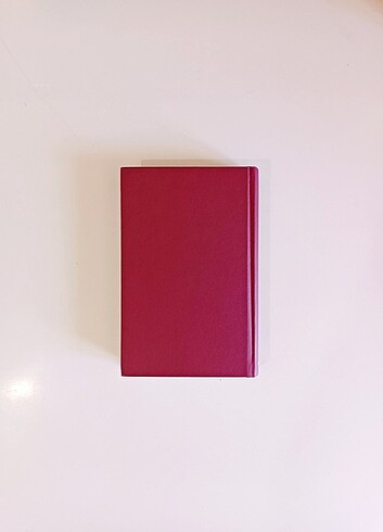 Rüzgara Dokunmak-Rüzgarı Yaşamak - Görsel 5