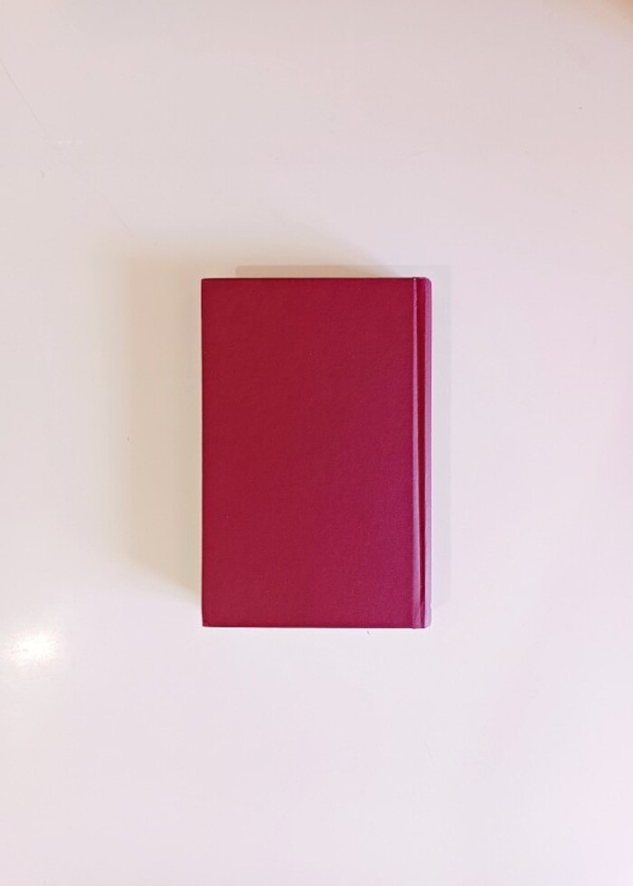 Rüzgara Dokunmak-Rüzgarı Yaşamak - Görsel 5