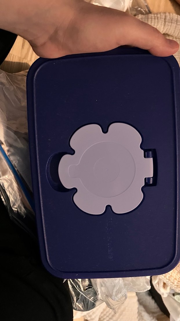 Tupperware mendil kutusu - Görsel 4