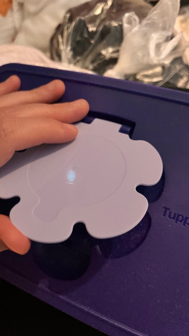 Tupperware mendil kutusu - Görsel 2