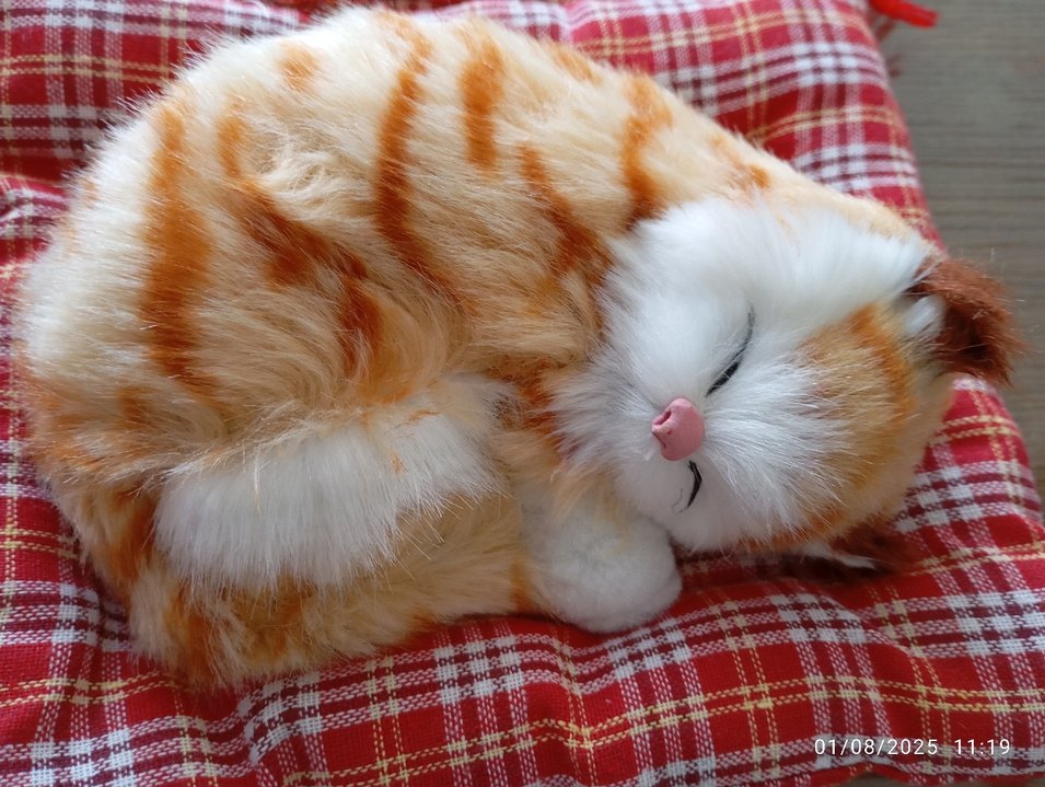 Turuncu Peluş Oyuncak Kedi - Görsel 2