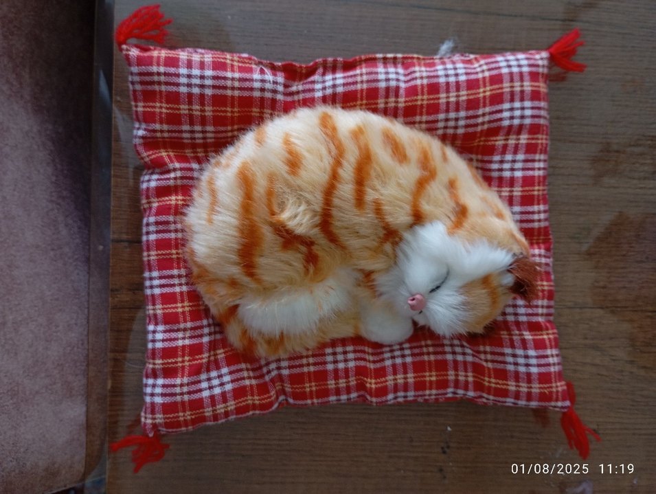 Turuncu Peluş Oyuncak Kedi - Görsel 3