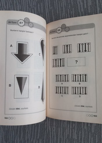 Beden Neşeli Portakal - 121 Akıl Oyunu Kitabı