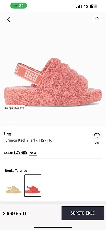 Ugg terlik