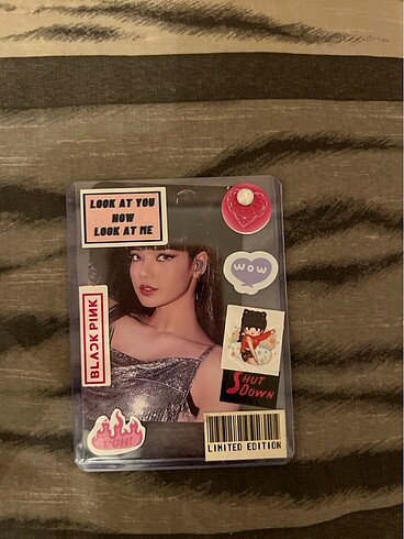 Lisa born pink world tour pc