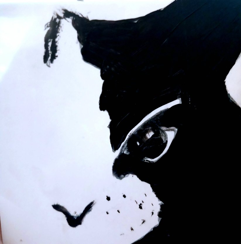 Kedi bardak altı - Görsel 2