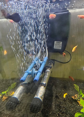 akvaryum hava motoru - Görsel 5