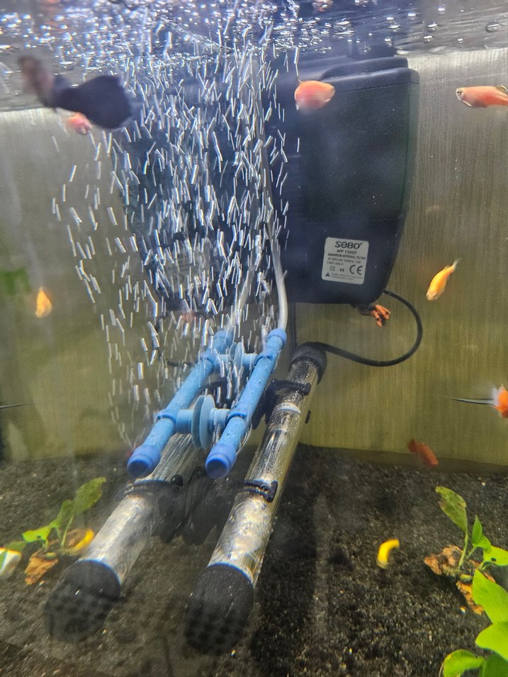 akvaryum hava motoru - Görsel 5