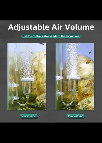 Küçük Difüzör Seti 4'lü - Görsel 4