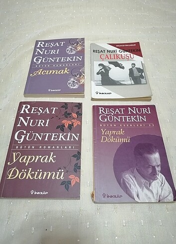 Reşat Nuri Güntekin Kitapları 