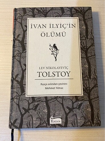 İvan İlyiçin Ölümü
