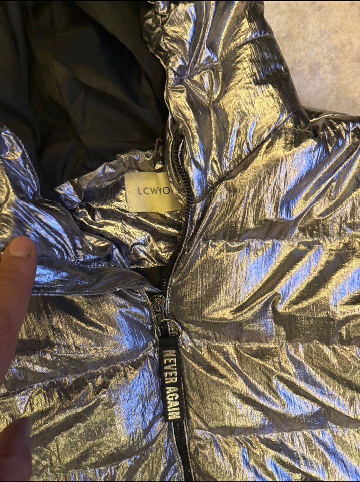 Kadın gümüş rengi Kapüşonlu Kısa Kış Montu - Görsel 2