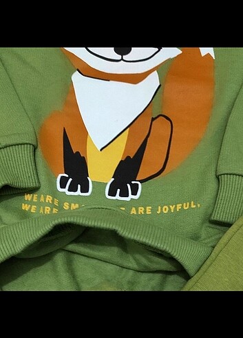 5 Yaş Beden Lcwaikiki Sweatshirt şardonlu kışlık