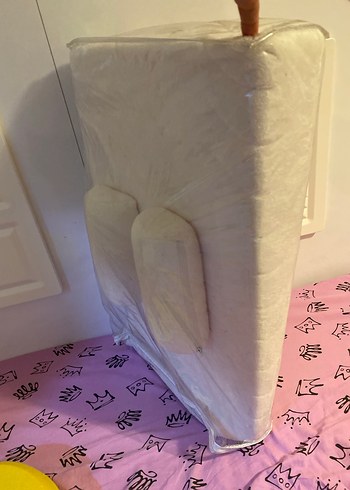 Reflü yatağı - Görsel 2