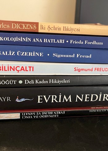 Beden Renk Kitaplar