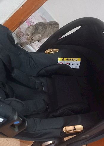 baby plus Siyah Bebek puseti - Görsel 6