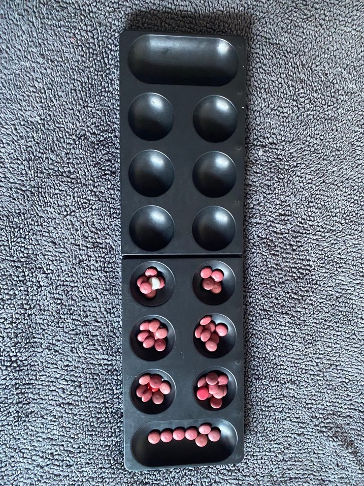 Siyah mangala - Görsel 3