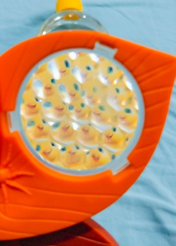 Kaleydoskop 3 Adet Ürün 4 Farklı Görüntü - Görsel 3