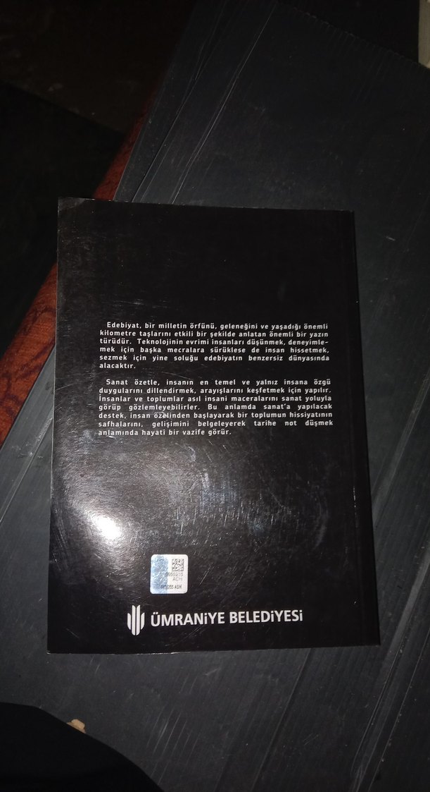 Koku Ya Da Bir Fizikçinin Bitmemiş Rüyası - Orhanoğlu - Görsel 2