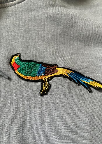 Swift  kartonu kazak - Görsel 3