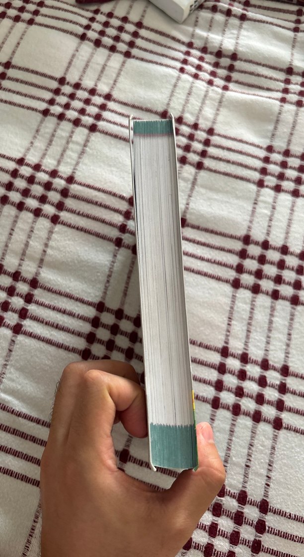 Edebiyat El Kitabı - Limit Yayınları - Görsel 4