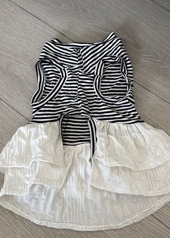  Zebra Desenli Fırfırlı köpek Elbise