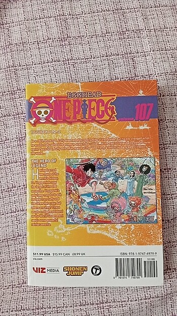 Beden One Piece 107