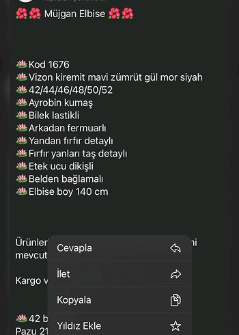 Diğer Elbise