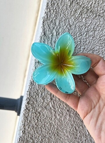 lotus toka