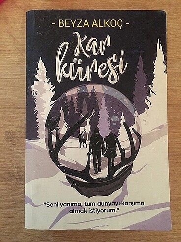 kar küresi kitap beyza alkoç