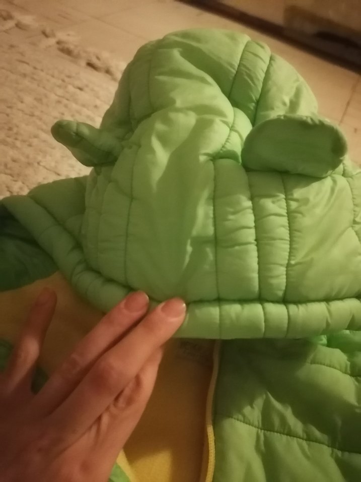 Erkek Çocuk Yeşil Kapüşonlu Fermuarlı Mont - Görsel 3