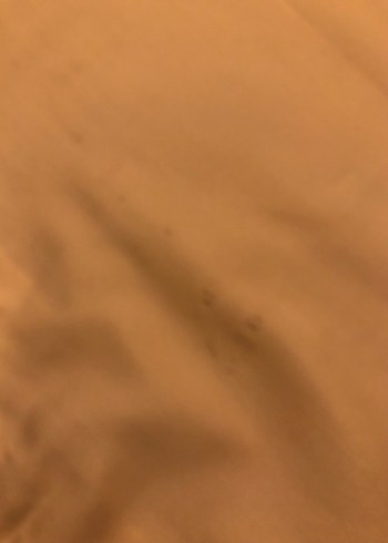  Beden camel Renk Nakışlı Bej Masa Örtüsü