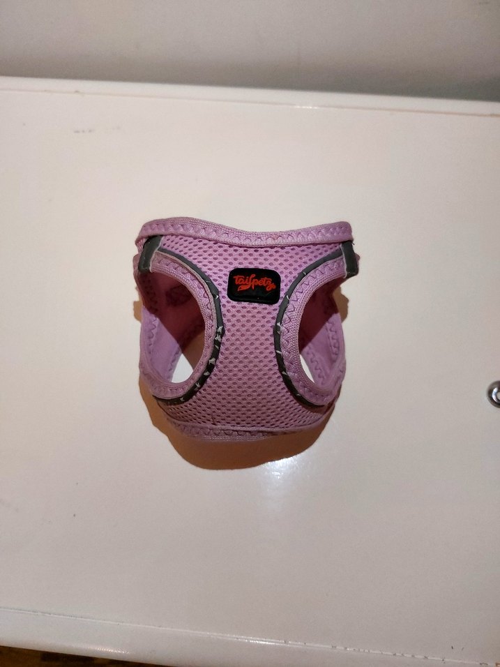 Renkli Köpek Göğüs Tasması ve Otomatik Gezdirme Tasması - Görsel 4