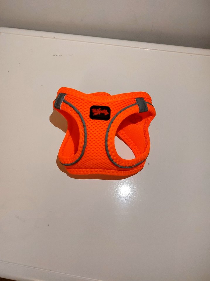 Renkli Köpek Göğüs Tasması ve Otomatik Gezdirme Tasması - Görsel 3