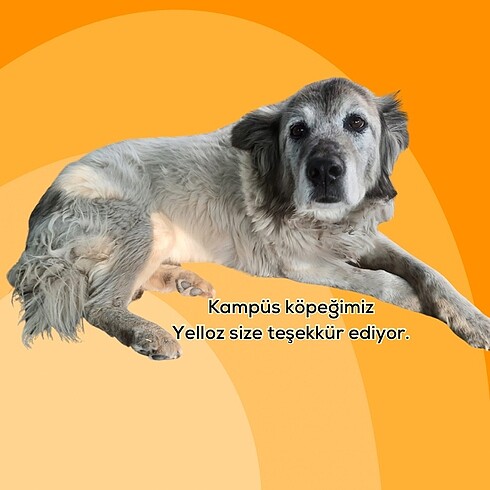 Beden Kalpli kolye