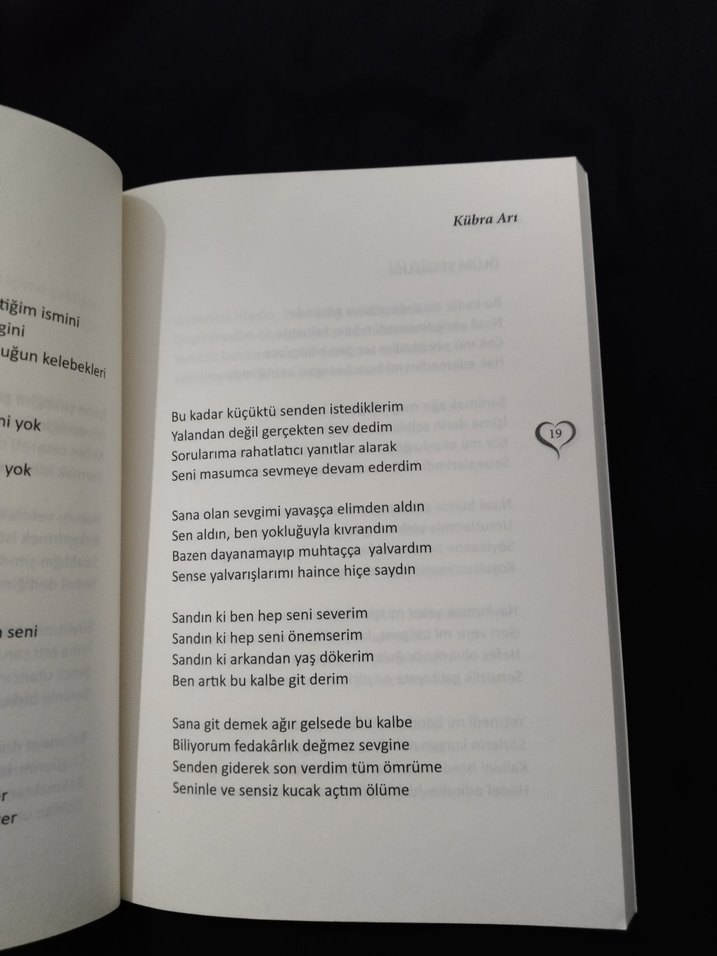 Sessizce - Kübra Ari Şiir Kitabı - Görsel 3
