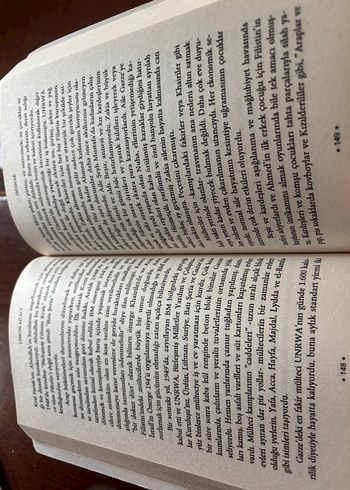 Limon Ağacı - Sandy Tolan - Görsel 3