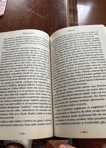 Limon Ağacı - Sandy Tolan - Görsel 4