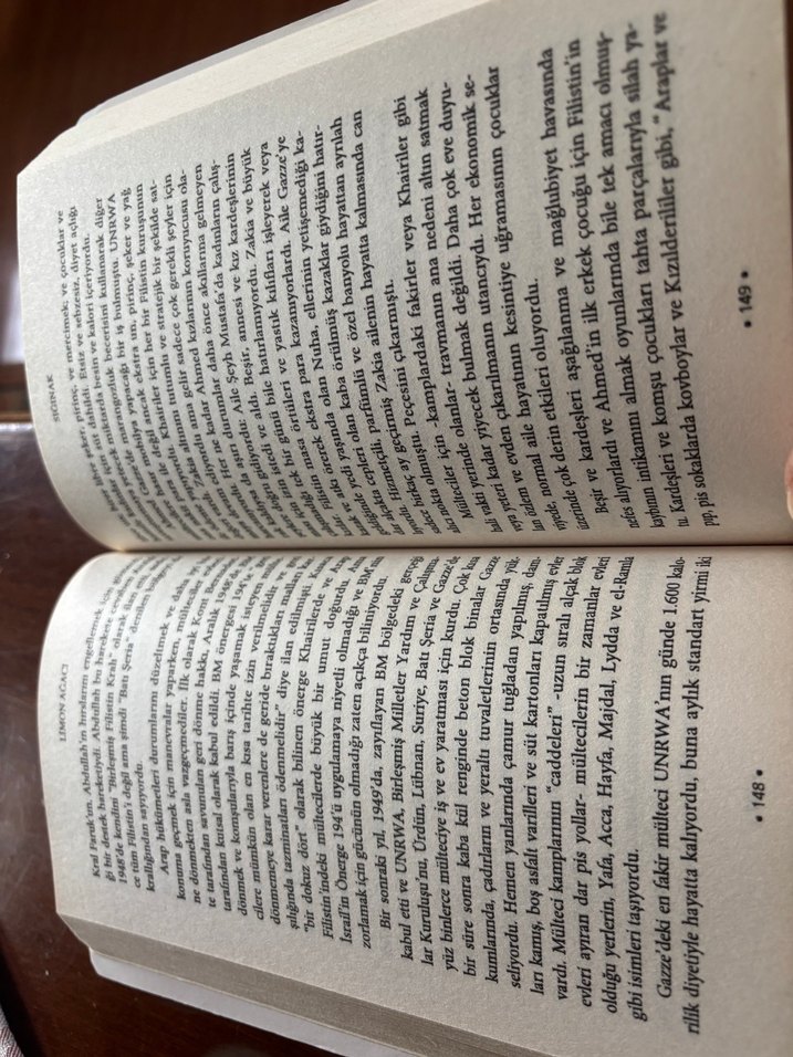 Limon Ağacı - Sandy Tolan - Görsel 3