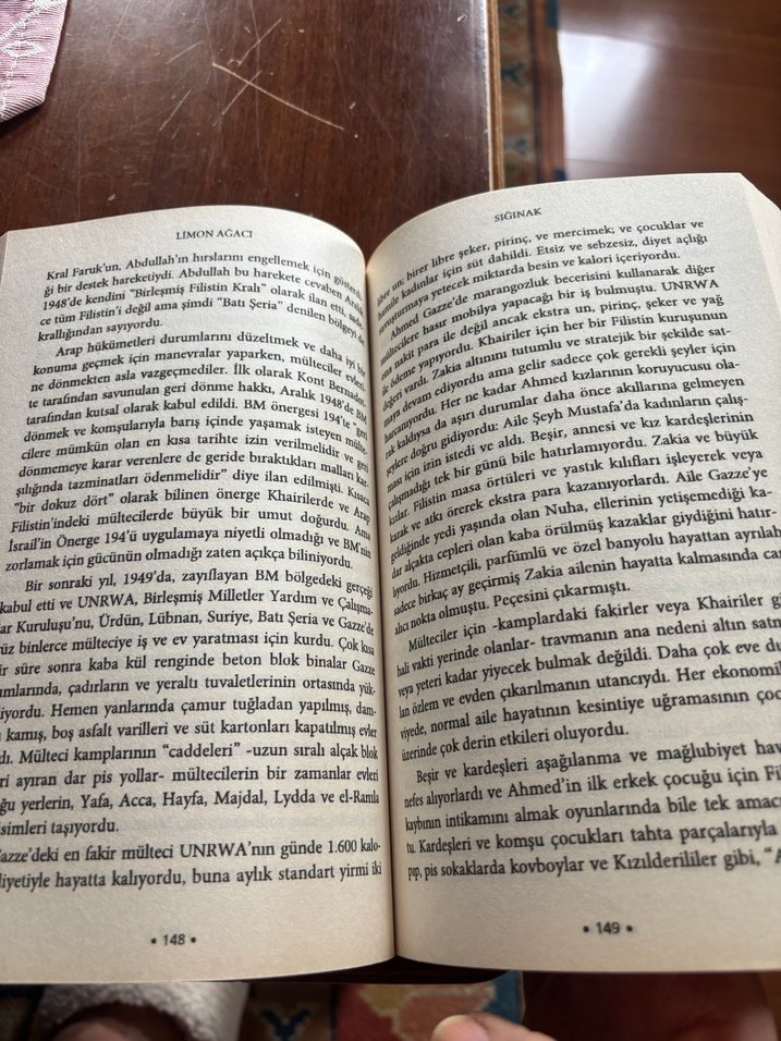 Limon Ağacı - Sandy Tolan - Görsel 4