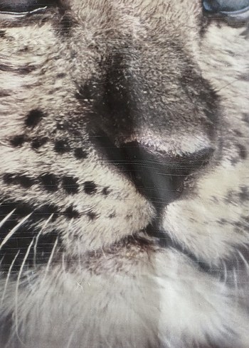 H&M Kız Çocuk Desenli Tişört - Görsel 7