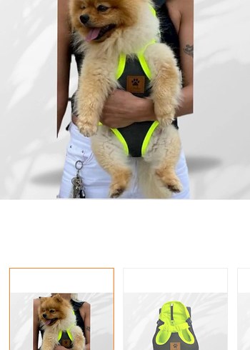  Beden Renk Köpek ana kucağı / taşıma çantası