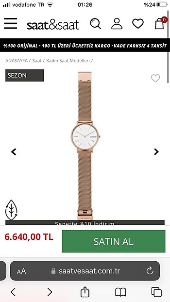 Skagen Gold Kadın Saati