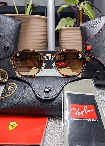 RAY-BAN 3674 LEOPAR FERRARİ