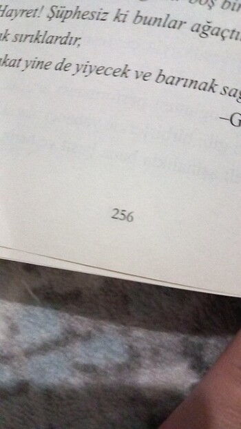  Kitap