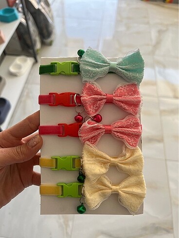 Fiyonklu küçük ırk köpek/ kedi tasma