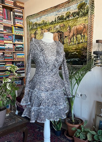 Uzun Kollu Gri Fırfırlı pullu Elbise - Görsel 2