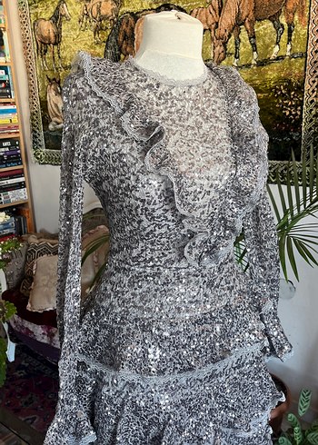 Uzun Kollu Gri Fırfırlı pullu Elbise - Görsel 11